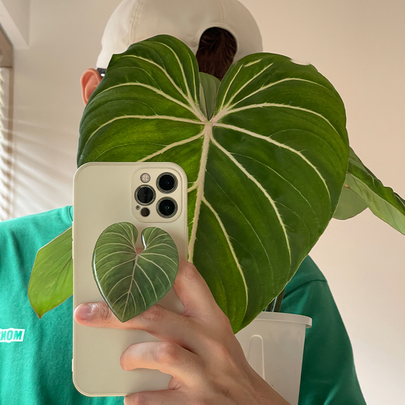 Leuke glanzende populaire simu - Tech Accessories Phone recensie en prijs