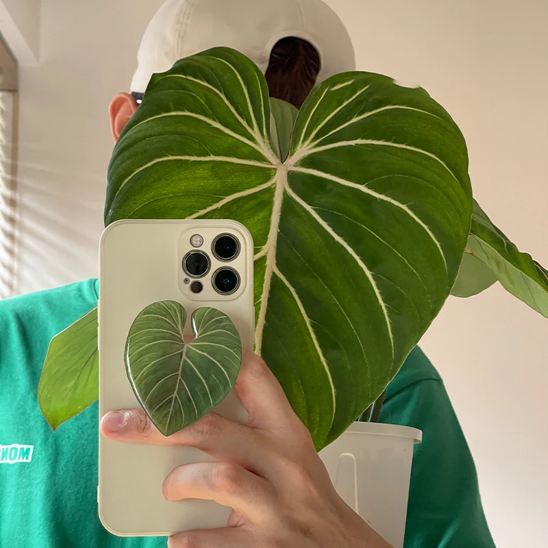 Glanzende Simulatie Blad Telef - Tech Accessories Phone recensie en prijs